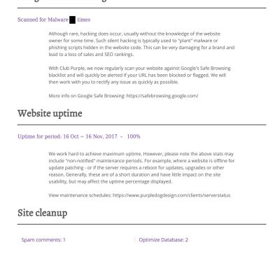 Example-club-purple-report_Page_5