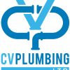 Waiheke website for CV Plumbing